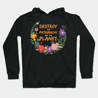 Destroy The Patriarchy Not The Planet Hoodie